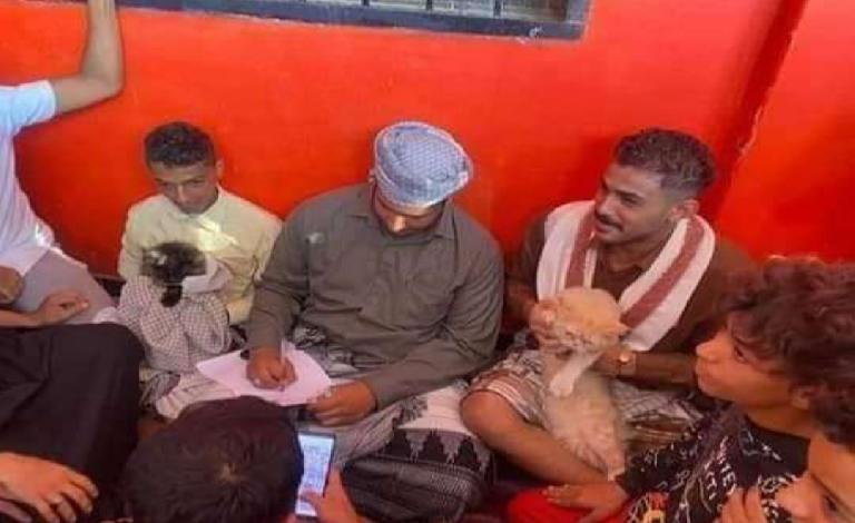 زواج قط وقطة بعدن بحضور شهود ومعازيم..