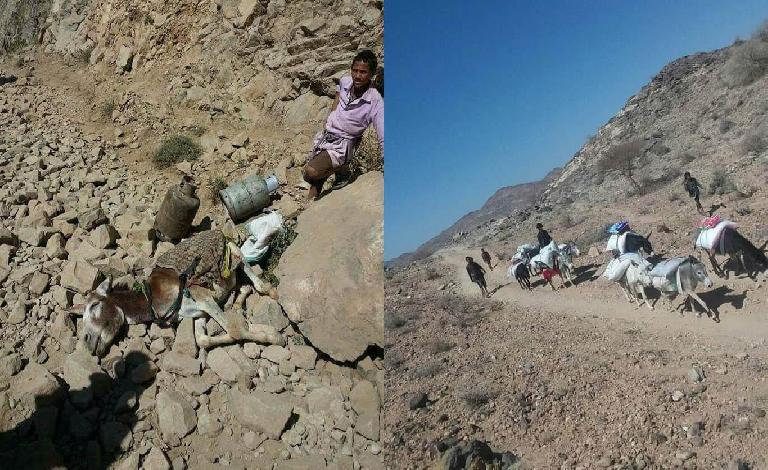 فجرت الجسور وقطعت الاتصالات.. هكذا حولت مليشيا الحوثي مديريتي 